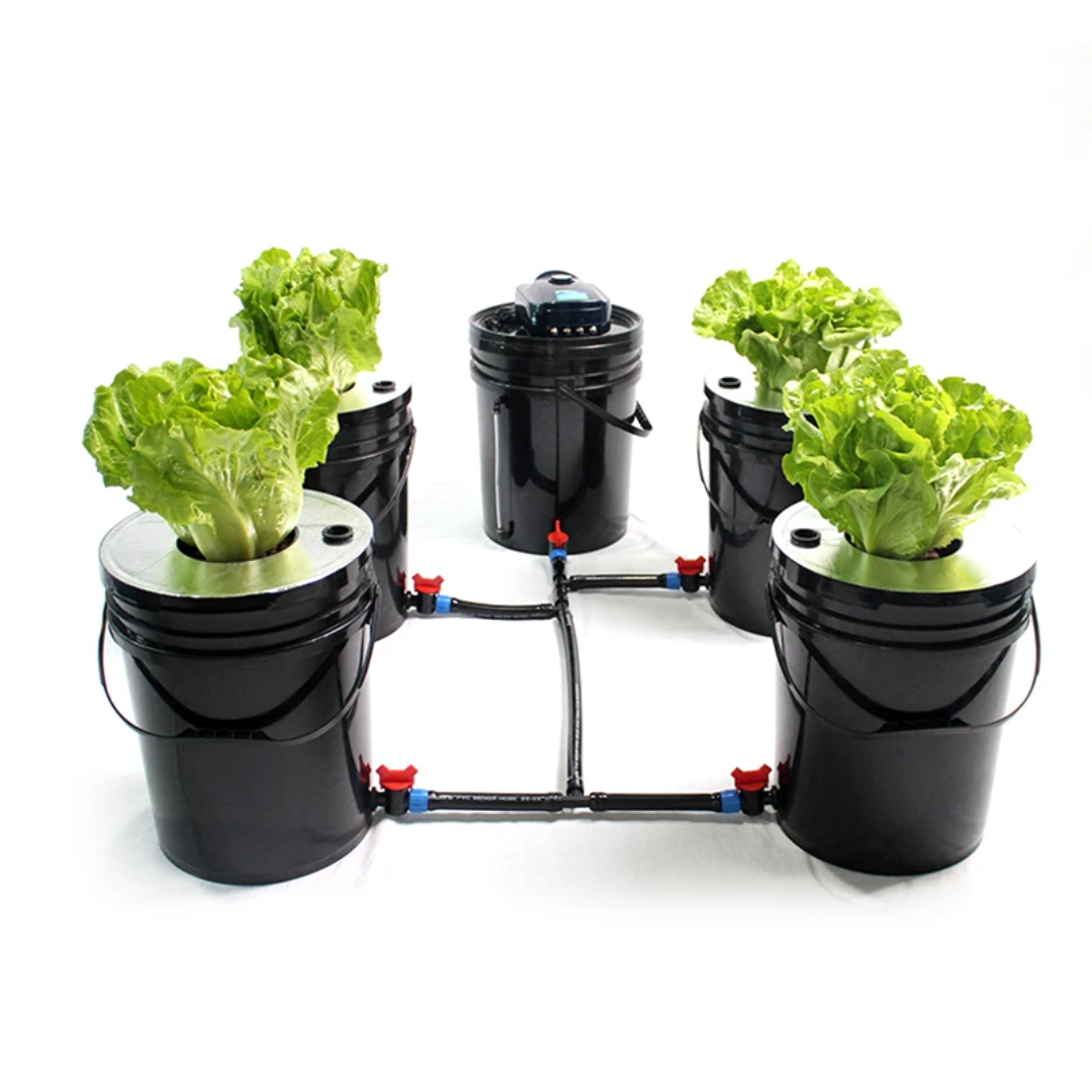 Hydroponic Grow System Deep Water Culture