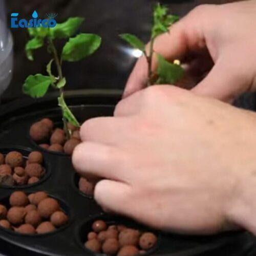 Hydroponics Seedling & Cloning System Aeroponic Propagation