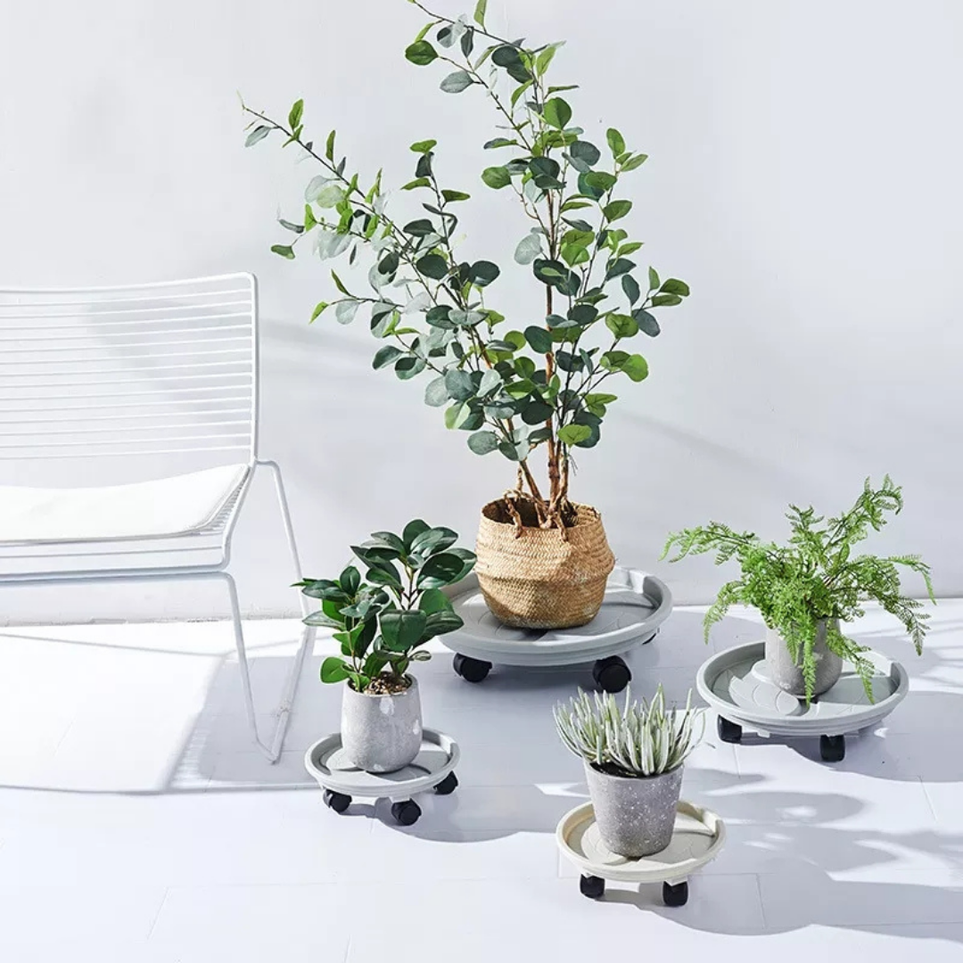 PLANT STAND WITH WHEELS TRAY