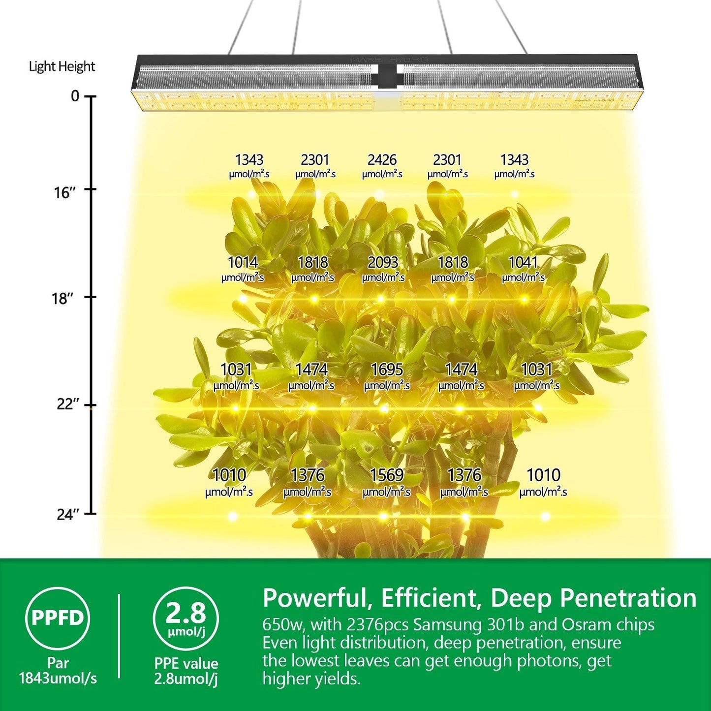 MARS HYDRO SP 6500 SAMSUNG LM301B 650W LED GROW LIGHT