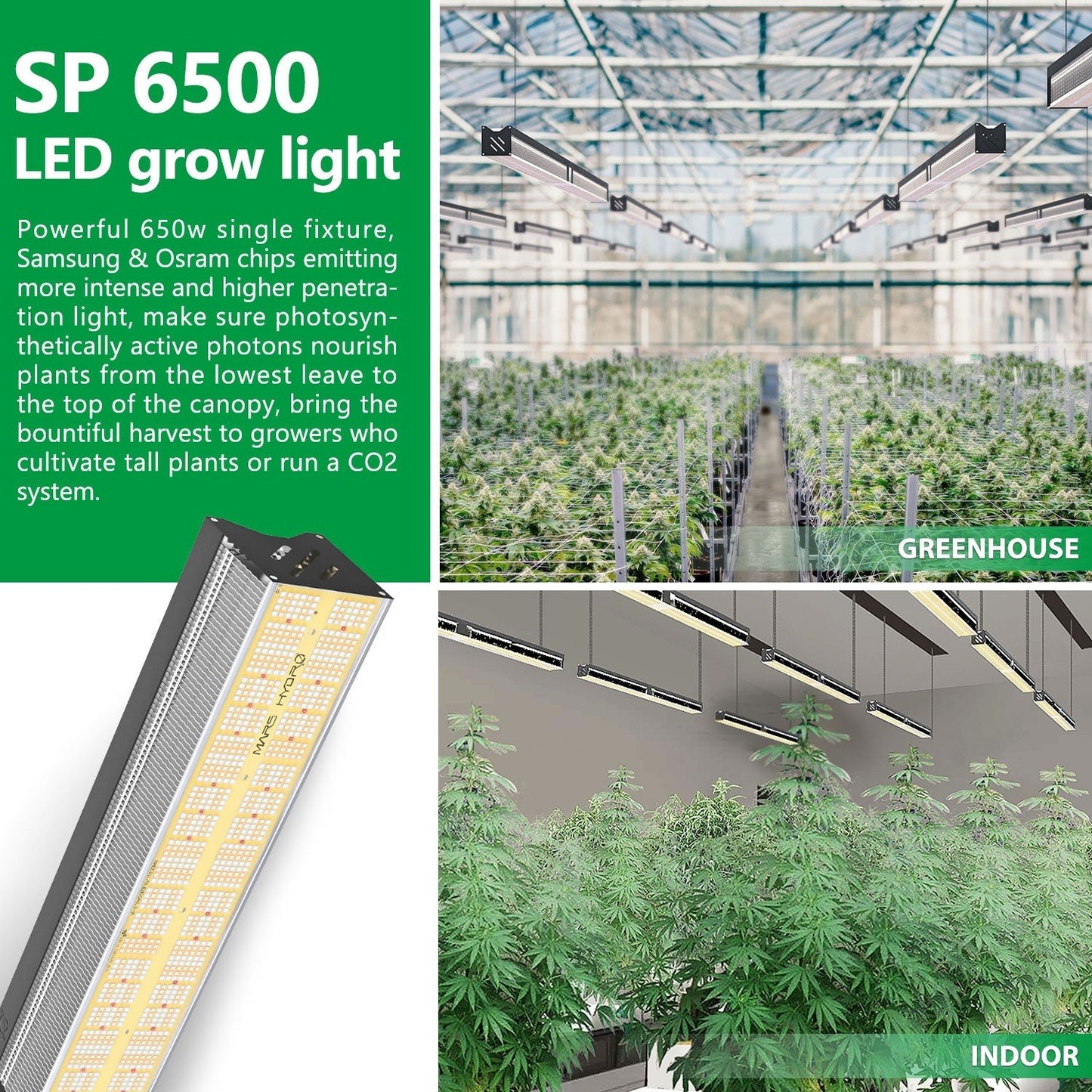 MARS HYDRO SP 6500 SAMSUNG LM301B 650W LED GROW LIGHT