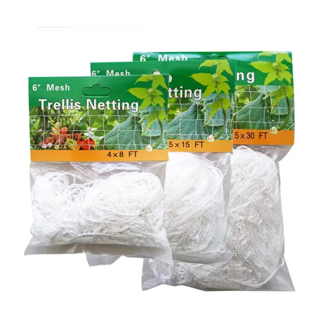 Trellis Net