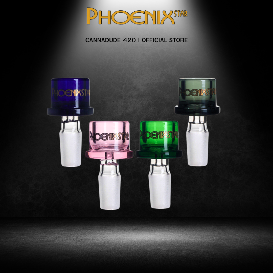 Phoenix Star Clear Glass Bong Bowl 14mm cylinder bowl