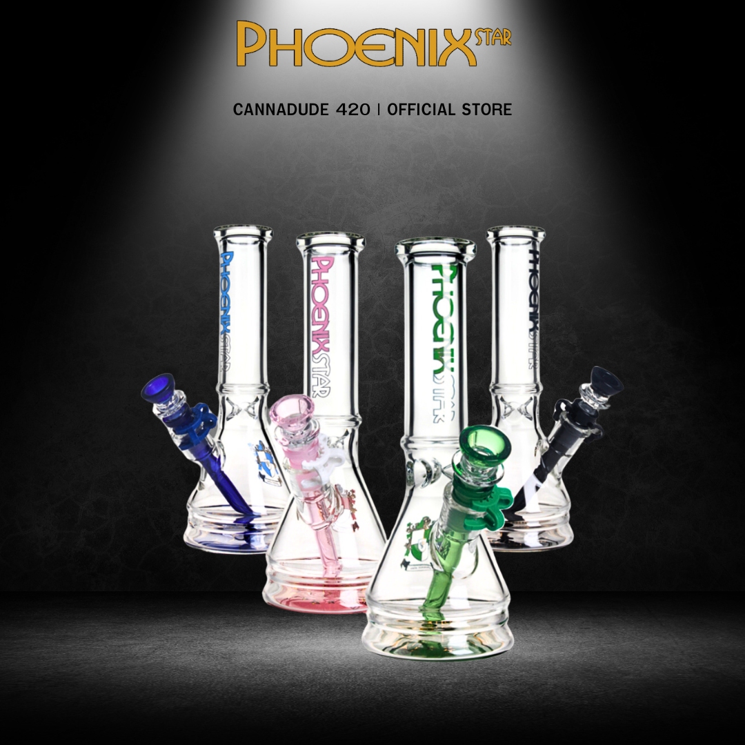 Phoenix Star New Design Beaker Bong 10 Inches