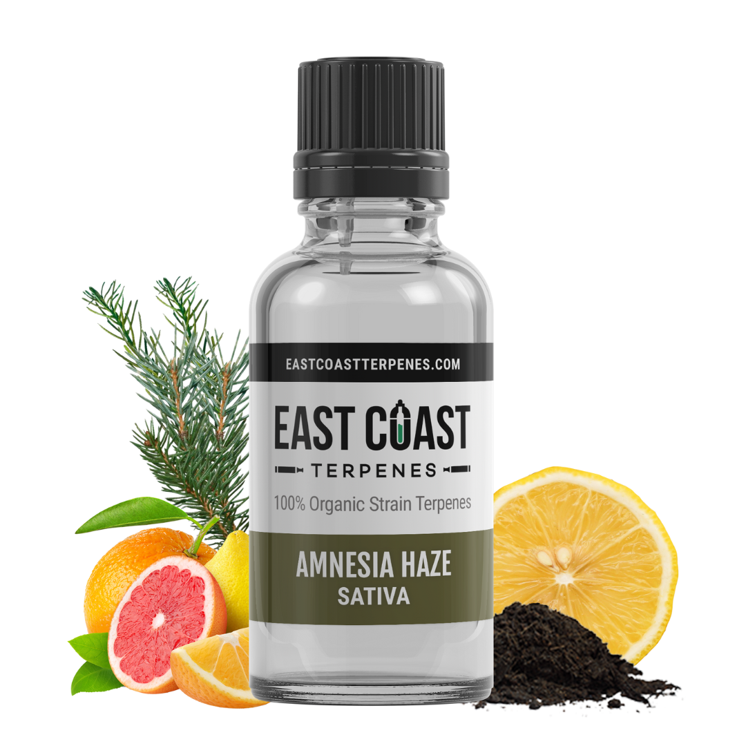 East Coaster Terpense | Amnesia Haze Terpene Liquidizer (Sativa)