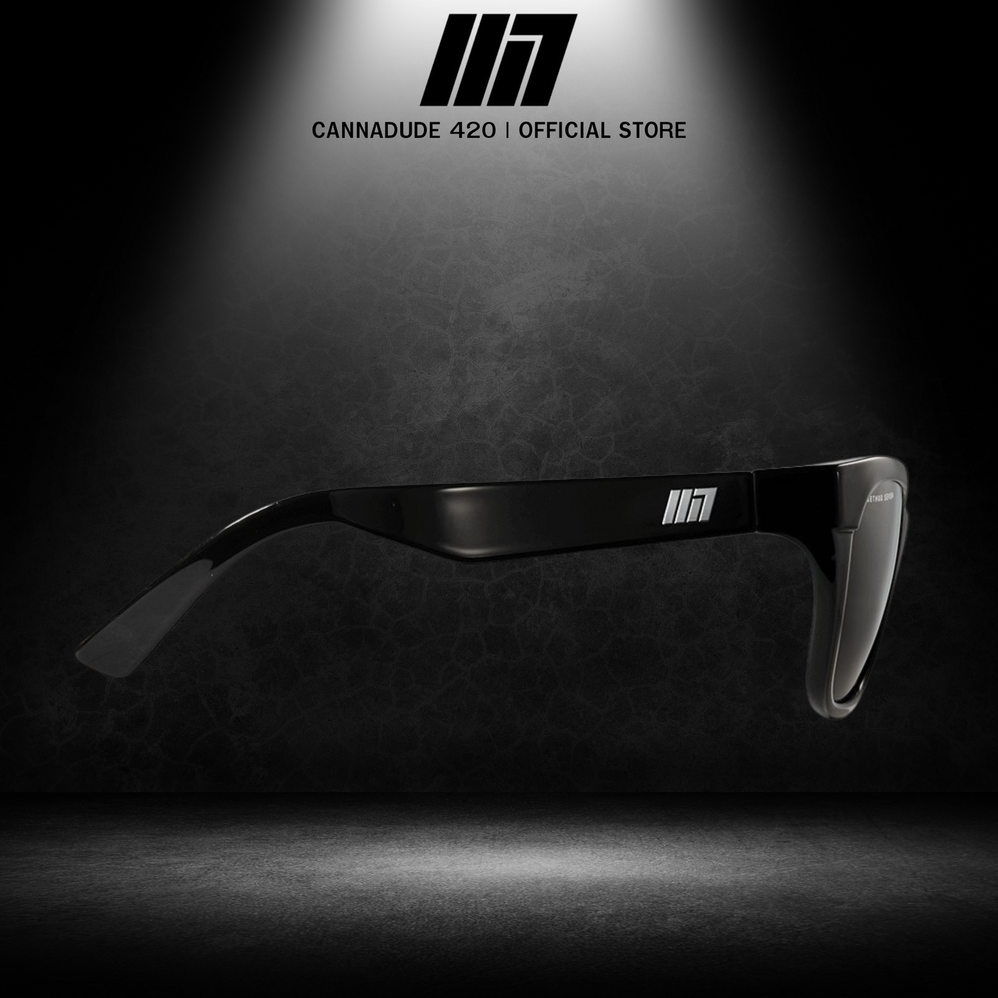 METHOD SEVEN Coup SUN Polarized Life