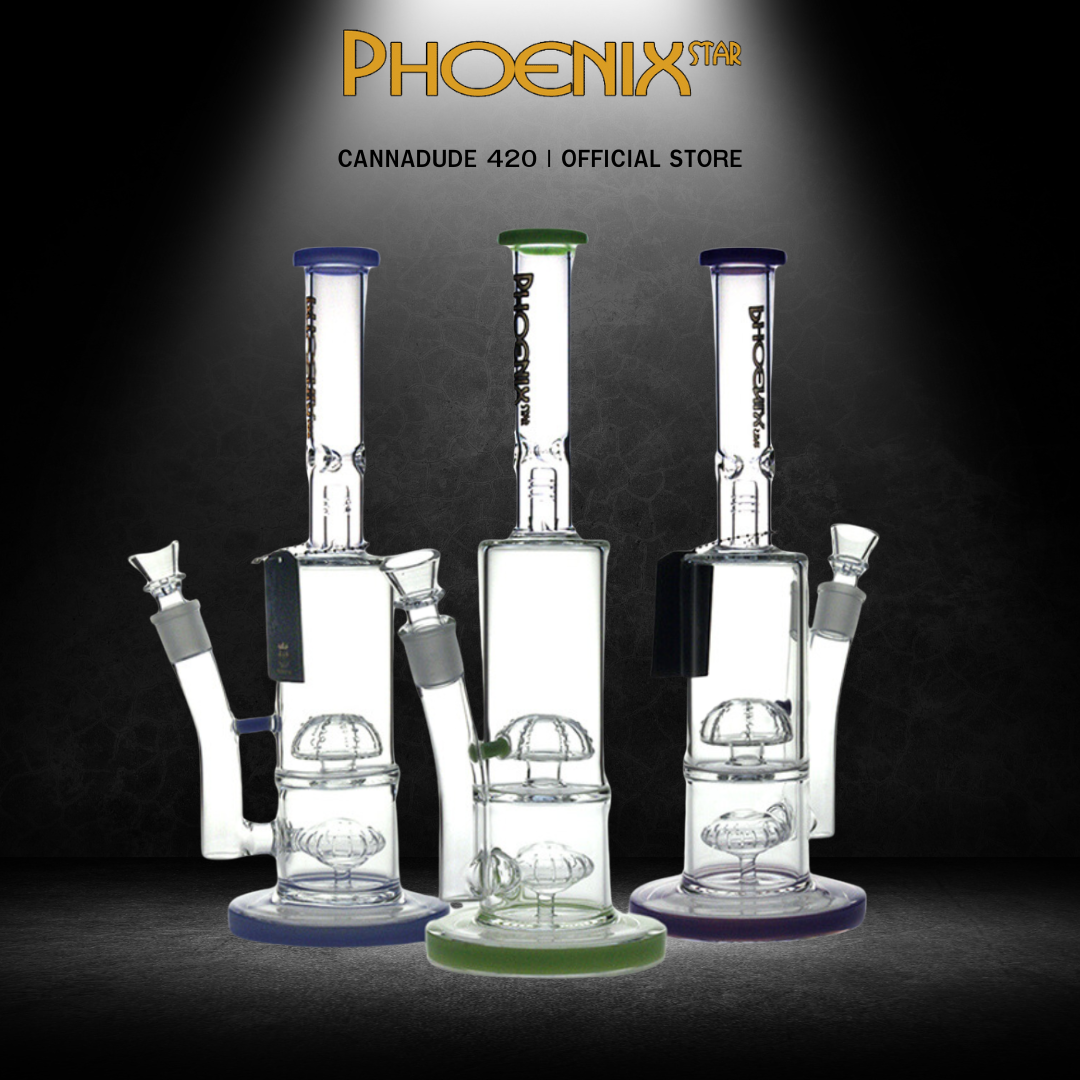 Phoenix Star Percolator Bong with Ice Catcher Splash Guard Glass Bong 14 Inches