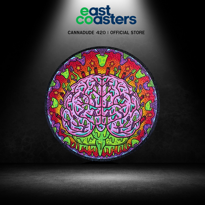 EAST COASTERS | THIS IS YOUR BRAIN ON DRUGS WS