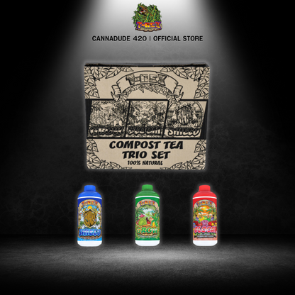 T-REX Trio Set