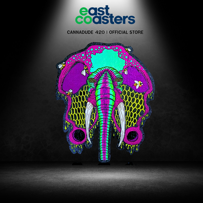 EAST COASTERS | HONEYPHANT WS