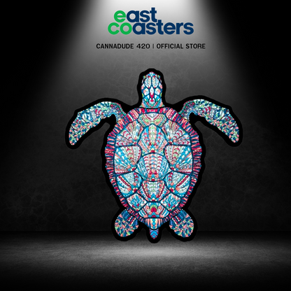 EAST COASTERS | SAVE THE SEA TURTLES WS
