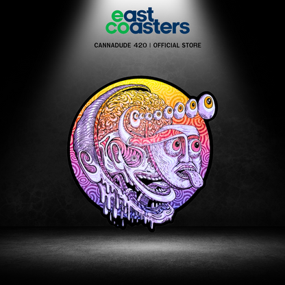 EAST COASTERS | MR MELTY BRAIN WS