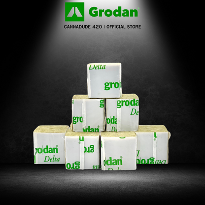 Grodan Rockwool Cubes