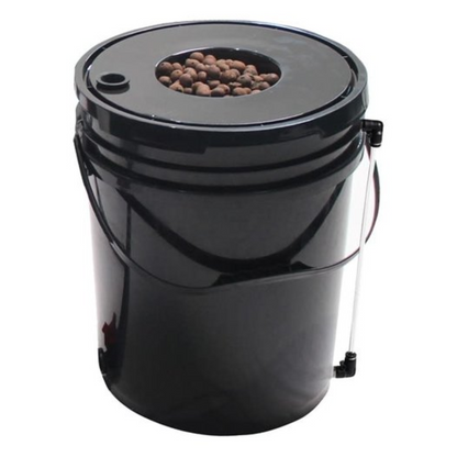 Hydroponic Grow System Deep Water Culture