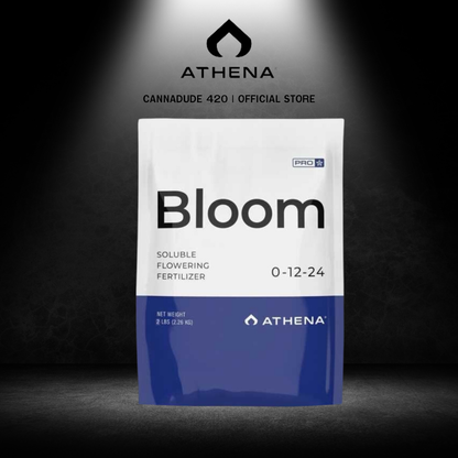 Athena Set Pro Line - Bloom