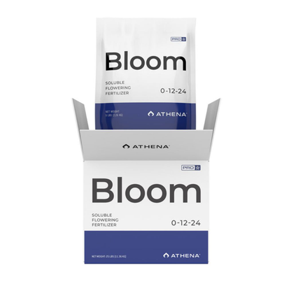 Athena Set Pro Line - Bloom