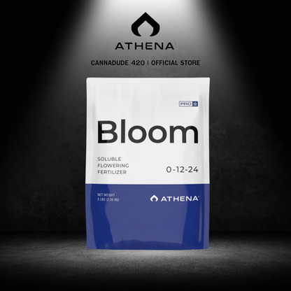 Athena Set Pro Line - Bloom