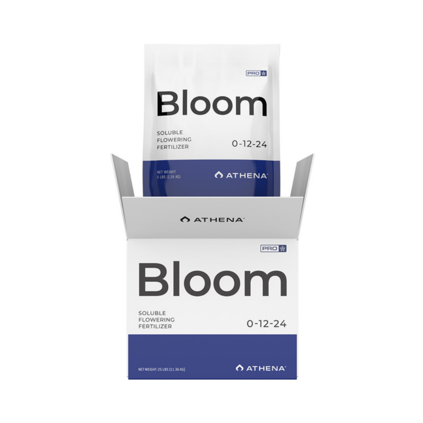 Athena Set Pro Line - Bloom