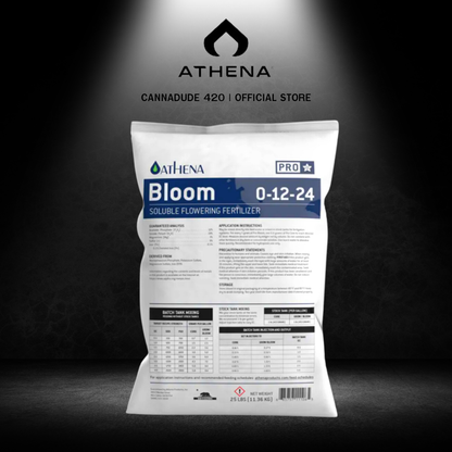 Athena Set Pro Line - Bloom