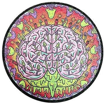 EAST COASTERS | THIS IS YOUR BRAIN ON DRUGS WS