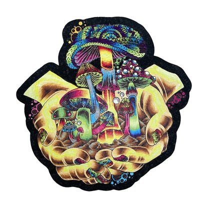 EAST COASTERS | MUSHIES OF LIFE