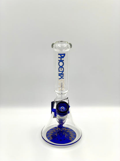 Beaker Glass Bong by Phoenix Star 10 Inches