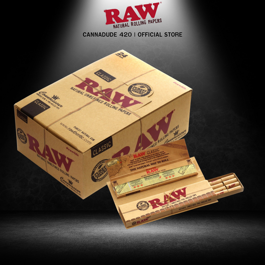 RAW CLASSIC CONNOISSEUR KSS + PRE ROLLED TIPS