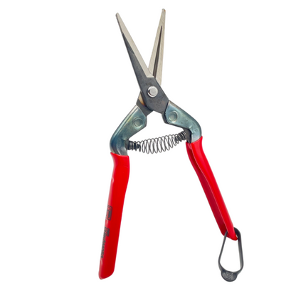 T-550 - Chikamasa Scissors