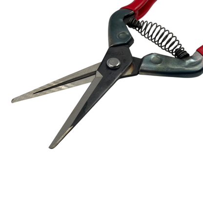 T-550 - Chikamasa Scissors