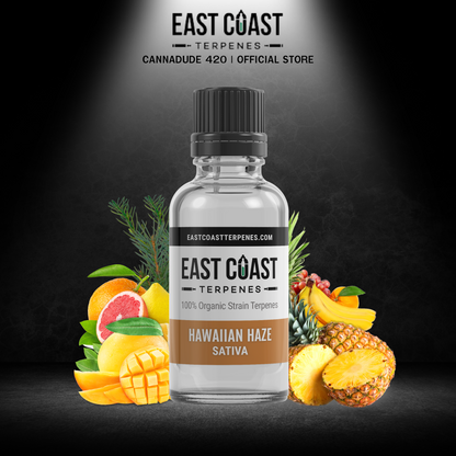East Coaster Terpenes | Hawaiian Haze Terpene Liquidizer (Hybrid)
