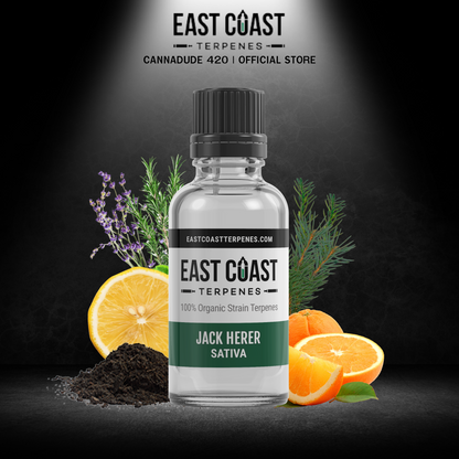 East Coaster Terpenes | Jack Herer Terpene Liquidizer (Sativa)