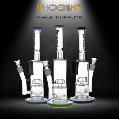 Phoenix Star Percolator Bong with Ice Catcher Splash Guard Glass Bong 14 Inches