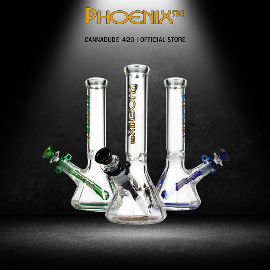Diamond Base Glass Bong by Phoenix Star 10 Inches