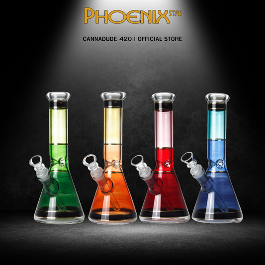 Phoenix Star Colorful Beaker Bong 10 Inches